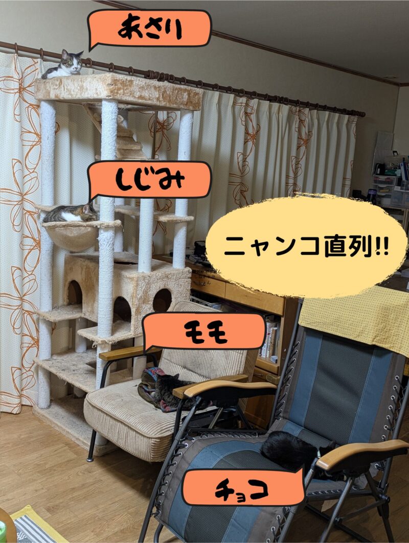 ニャンコ直列